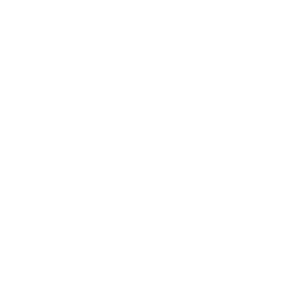 Diretoria Executiva